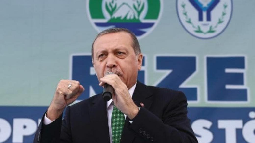 Ердоган: Турците трябва да се опълчат срещу „внуците на нацизма“