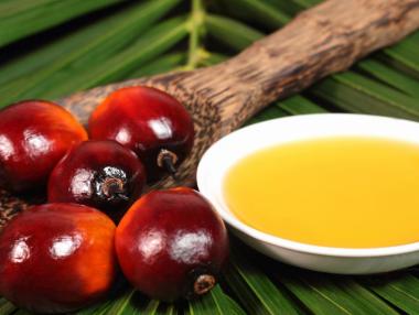 ЕП ограничава растителните масла