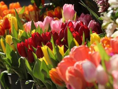 Празнуваме Цветница