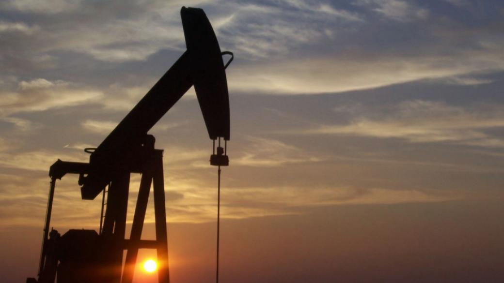 Цената на петрола сорт Брент расте уверено