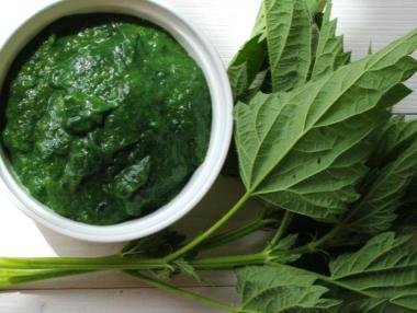 Какво не знаем за копривата