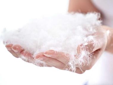 Най-големият завод за пух на Балканите отвори у нас