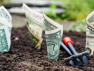 Бизнесът планира 11% по-малко инвестиции през 2017 г.