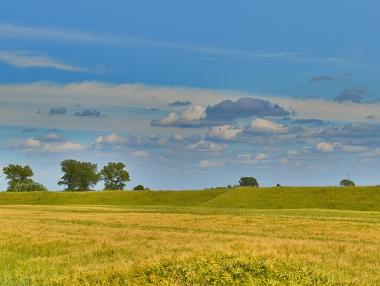 Средната цена на декар земеделска земя достигна 761 лв.