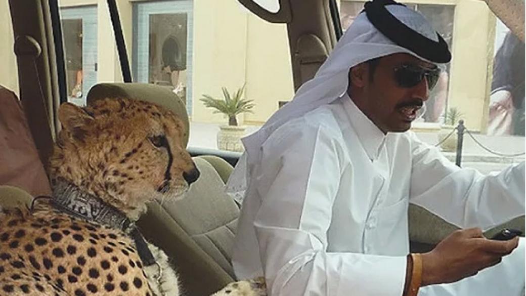 12 необичайни гледки, които може да видите само в Дубай