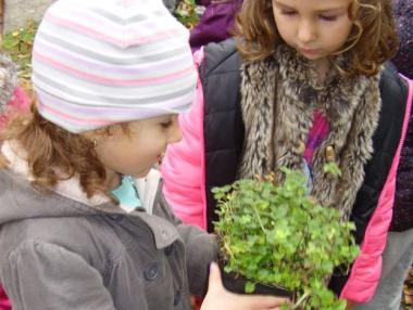 37 проекта ще се състезават за финансиране по програмата „Мтел еко грант“