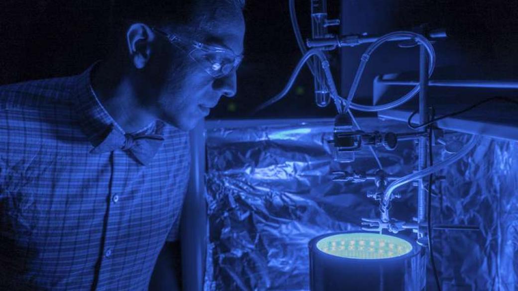 Учени откриха как да извършат изкуствена фотосинтеза