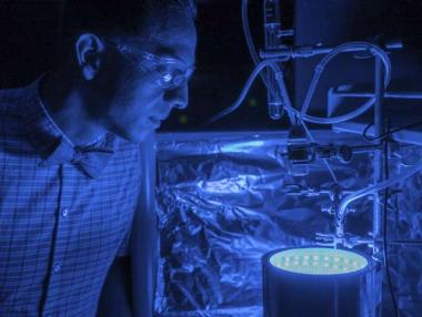 Учени откриха как да извършат изкуствена фотосинтеза