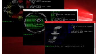 Ubuntu вече е достъпен в Windows Store