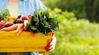 Фонд „Земеделие“ изплати над 52 млн. лв. за биоземеделие