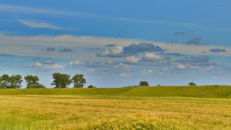 Удължават срока за кандидатстването за фермерски субсидии