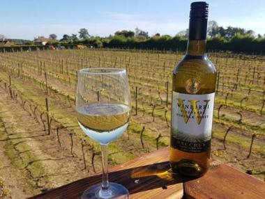 Най-доброто бяло вино в света - за 13.95 лири от Норфолк