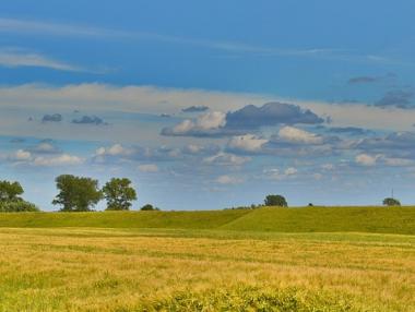 Фонд „Земеделие“ изплати 5.5 млн. лв. по мярка „Агроекология и климат“