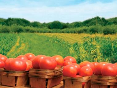 Биопроизводителите подписват декларации за информирано съгласие