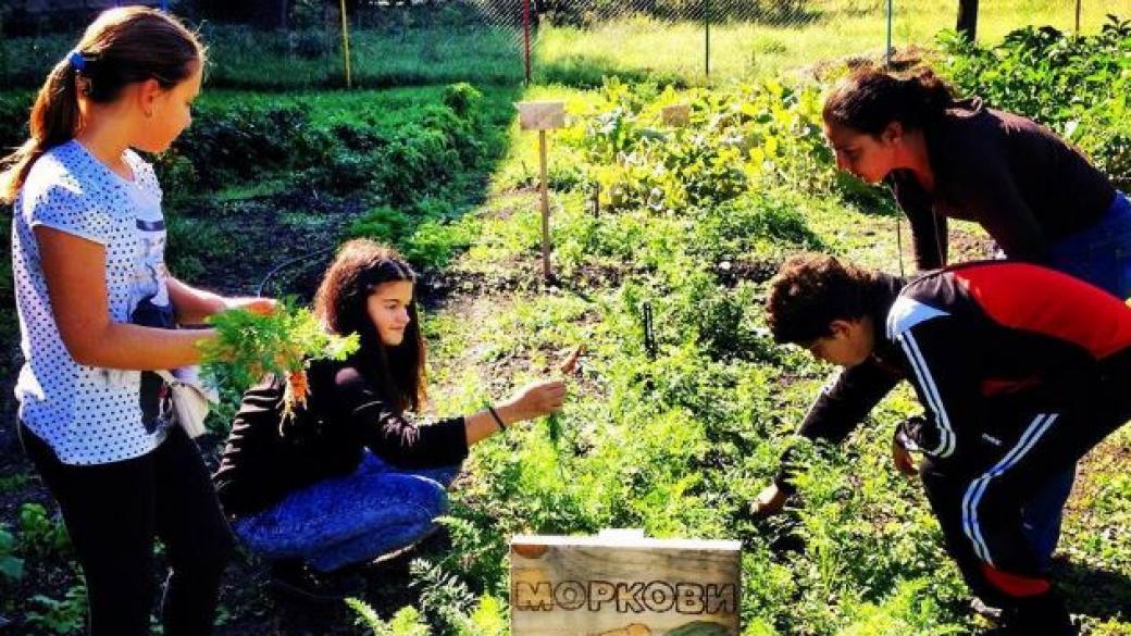 Четири проекта спечелиха финансиране по програмата „Мтел еко грант“