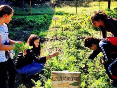 Четири проекта спечелиха финансиране по програмата „Мтел еко грант“