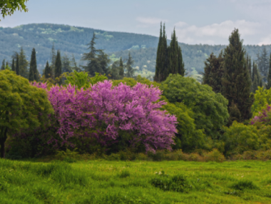 Държавата ще обезщетява собственици на земи в „Бедечка“ с имоти