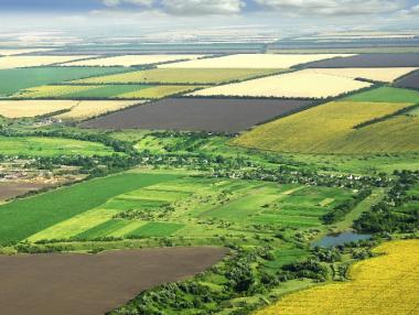 ДФЗ преведе още 84.5 млн. лв. по Схемата за единно плащане на площ