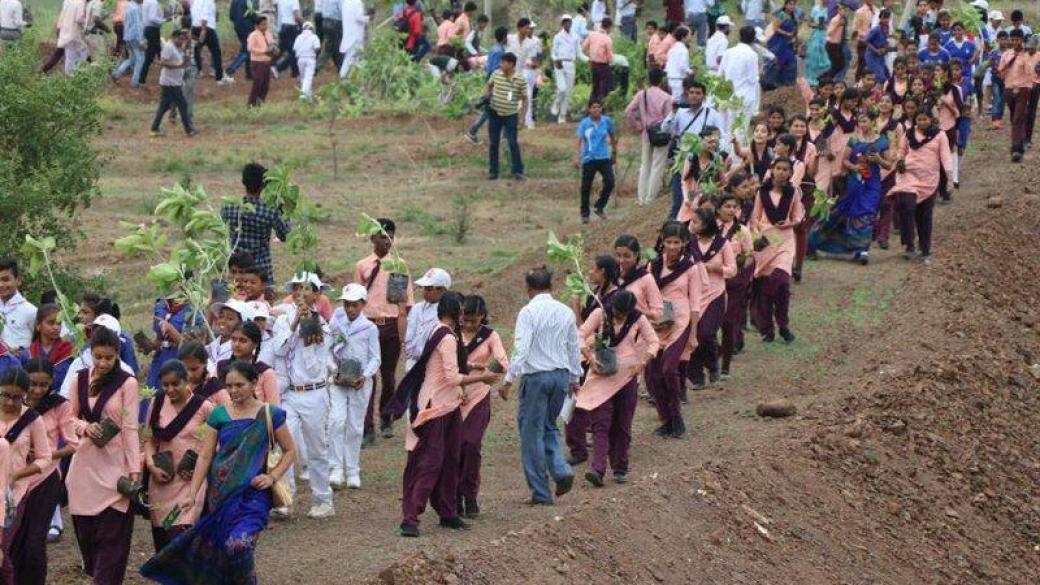 В Индия засадиха 66 млн. дръвчета за 12 часа в екологична кампания за рекорд
