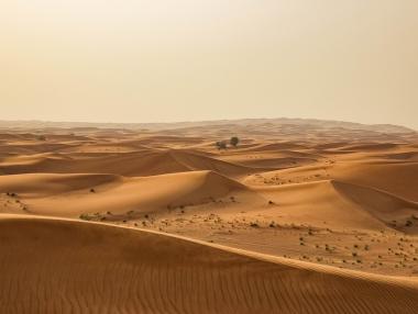 Сахара може да „позеленее“ в следващия един век