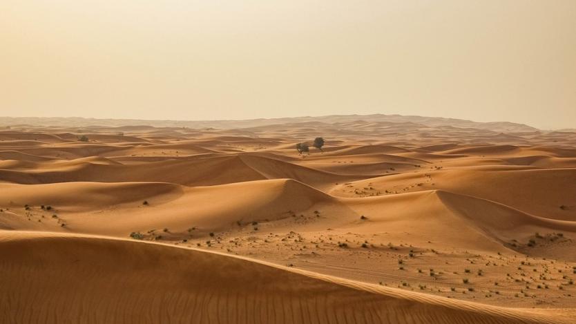 Сахара може да „позеленее“ в следващия един век