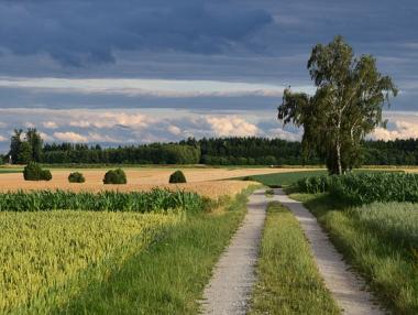 Отпада забраната за продажба на земя на чужденци