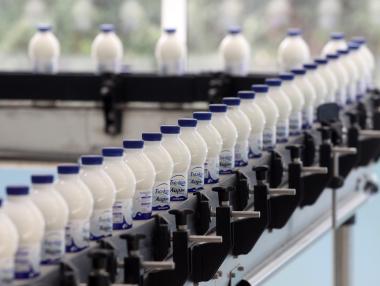 Повече от 20 години качествени млечни продукти