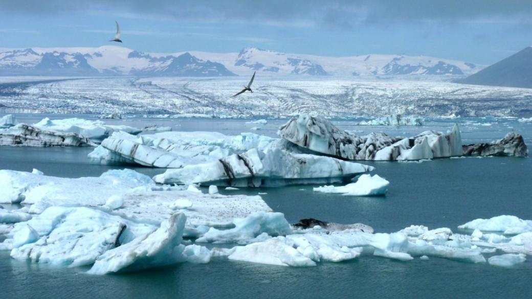 Арктика - екстремна дестинация за все повече туристи