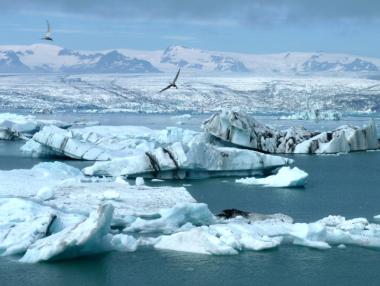 Арктика - екстремна дестинация за все повече туристи