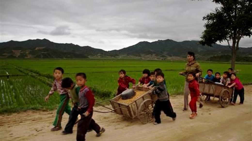 Северна Корея страда от сериозен недостиг на храна