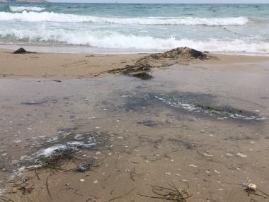 Преминаващ кораб през България е залял с мазут плажовете ни