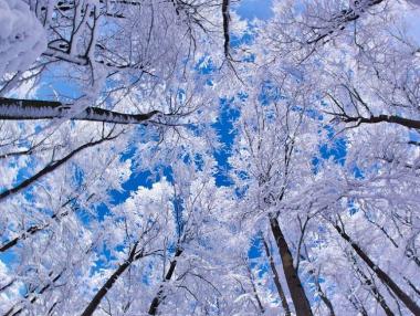 До 2080 г. Сибир ще стане благоприятен район за живот