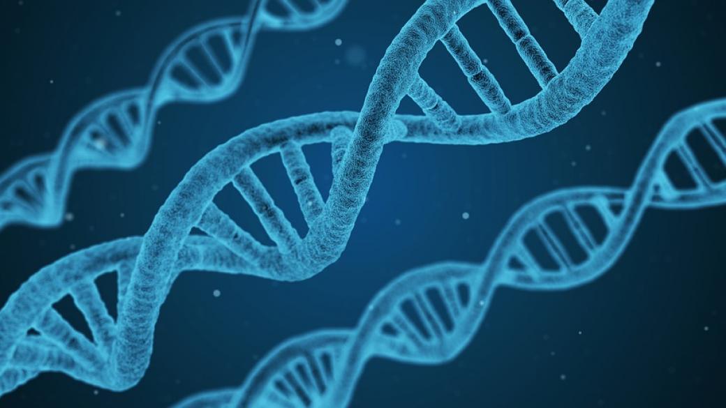 Учени за първи път „редактираха“ дефектна ДНК