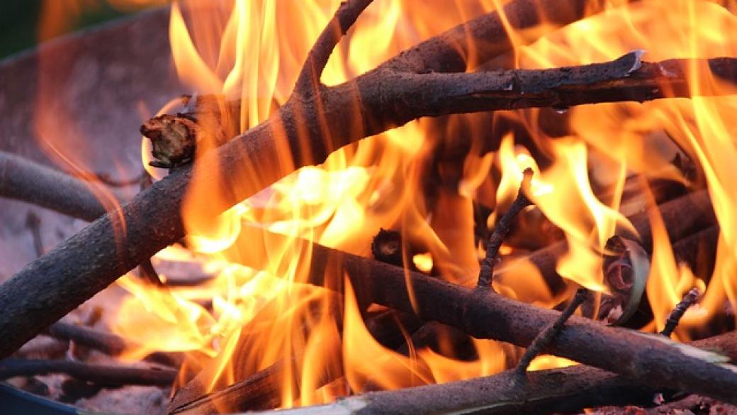 МЗХ напомня: 1000 лева е глобата за палене на огън в гората
