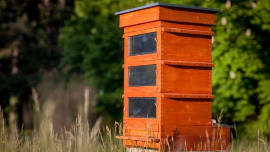 До 15 август се подават заявления по програмата за пчеларство