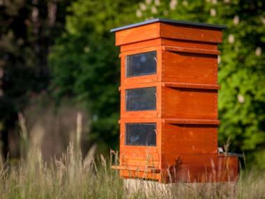 До 15 август се подават заявления по програмата за пчеларство