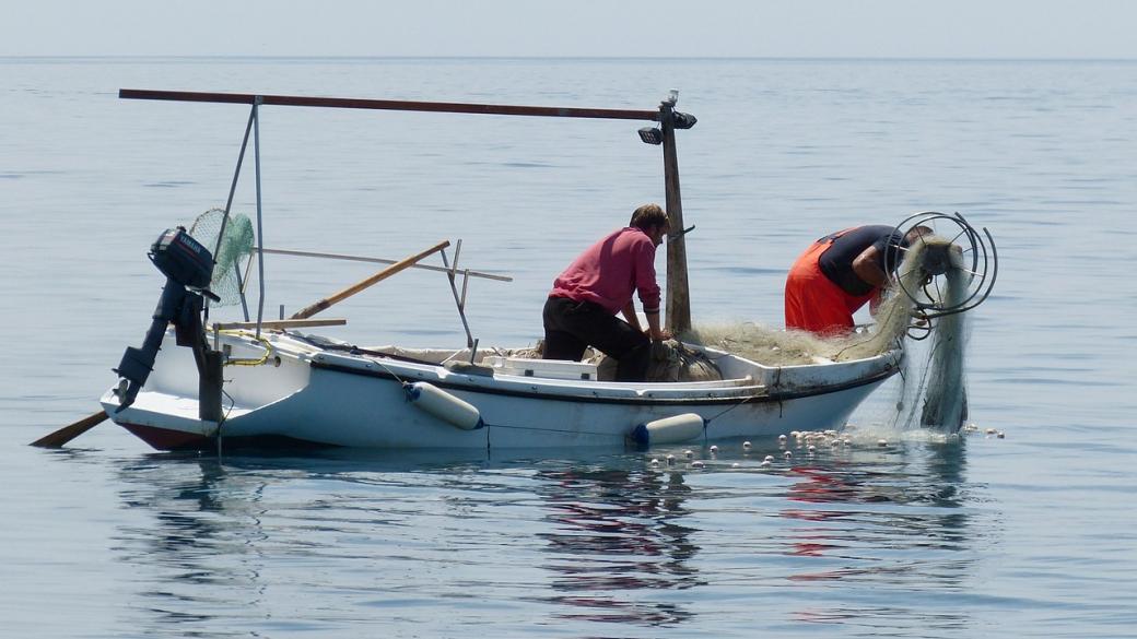 Рибопреработвателни предприятия получават 9.3 млн. лв. евросредства