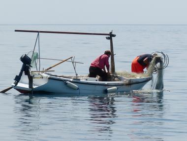 Рибопреработвателни предприятия получават 9.3 млн. лв. евросредства