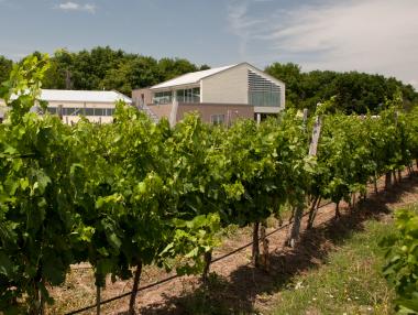 Виното от приятели за приятели