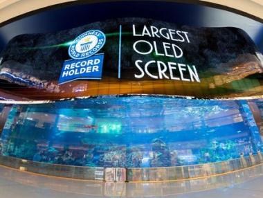 LG направи най-големия в света OLED дисплей