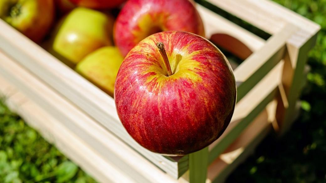 Ябълковата реколта в ЕС през 2017 г. ще е най-ниската от 10 години