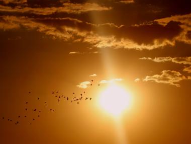 Слънцето не е виновно за настоящото глобално затопляне