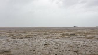 Ураганът „Ирма“ засмука океана от плажовете на Бахамите