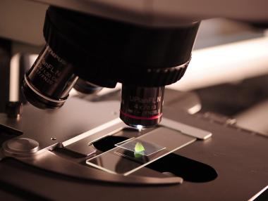 България ще си сътрудничи с Япония в областта на технологиите