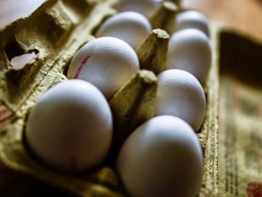 Агенцията по храните откри още 250 000 яйца с фипронил