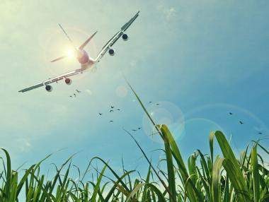 Въздушният трафик за една година