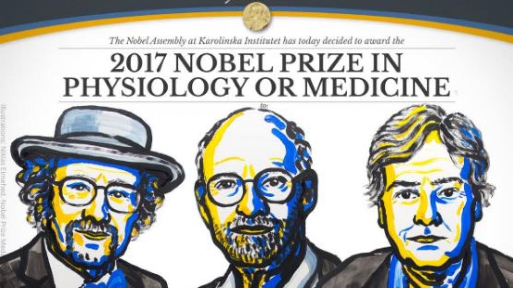 Трима американци получиха Нобеловата награда за медицина