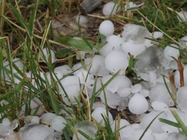 Щетите за земеделците от природни бедствия ще бъдат компенсирани с 3.5 млн. лв.