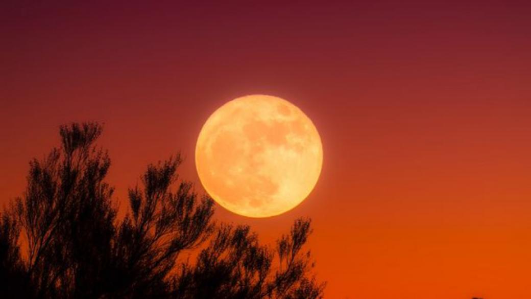 Тази вечер ни очаква Ловджийска луна