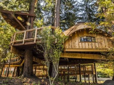 Да работиш от дървото, или новото разчупено пространство на Microsoft